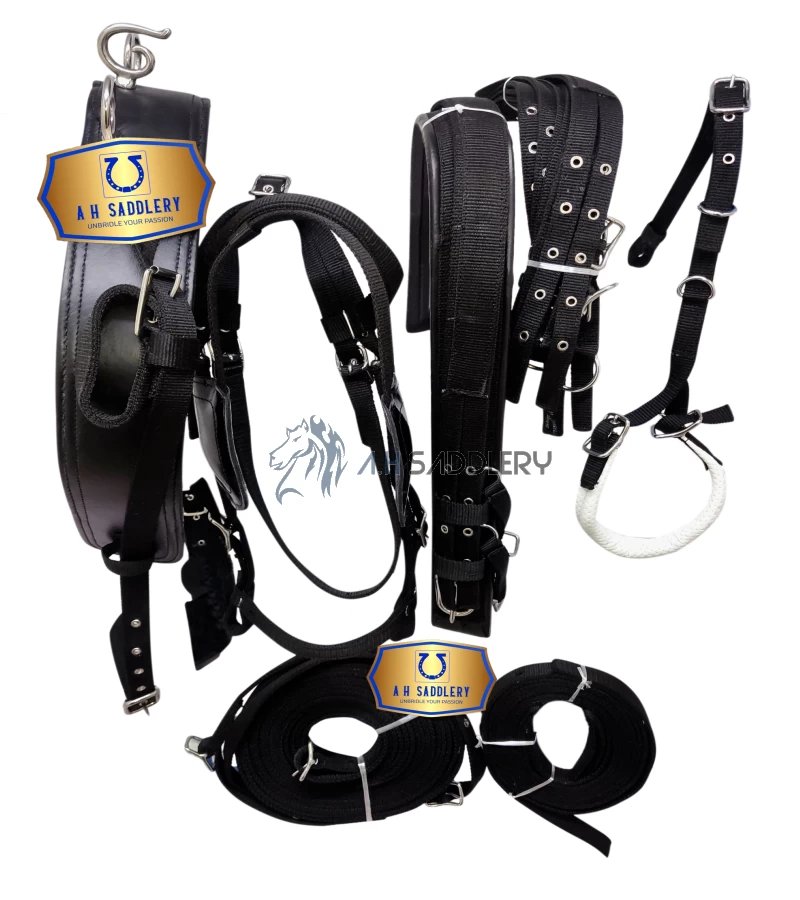 Premium Nylon Horse Driving Harness with Stainless Steel Fittings and Padding - Show and Training Equestrian Gear